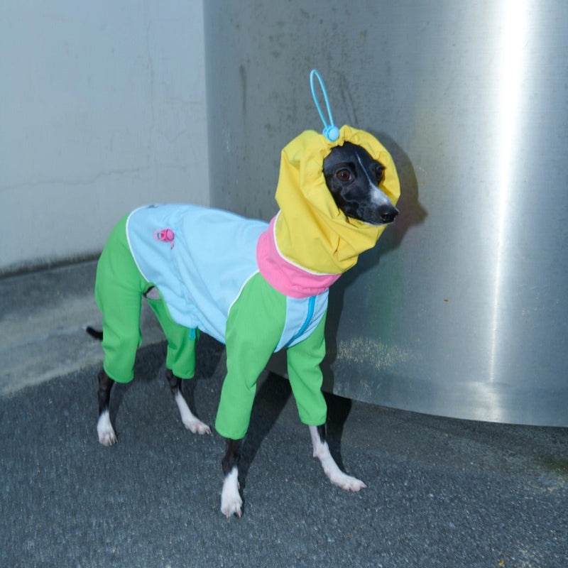 iiNeed® Waterproof Jacket Color-Block for Dogs