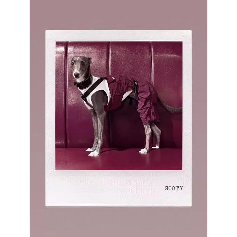 GASU® Reversible Lightweight Dog Overalls - KIKOPALS