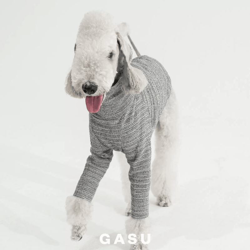 GASU® Grey Slim-Fit Two-Legged Dog Shirt - KIKOPALS