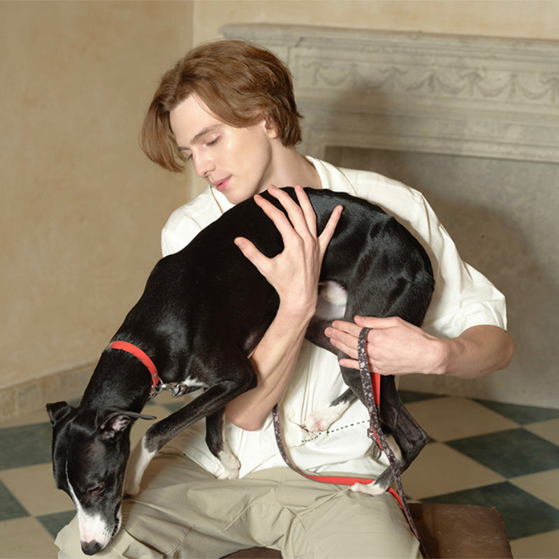 Nuoz® U Series Dog Leash - Durable and Stylish