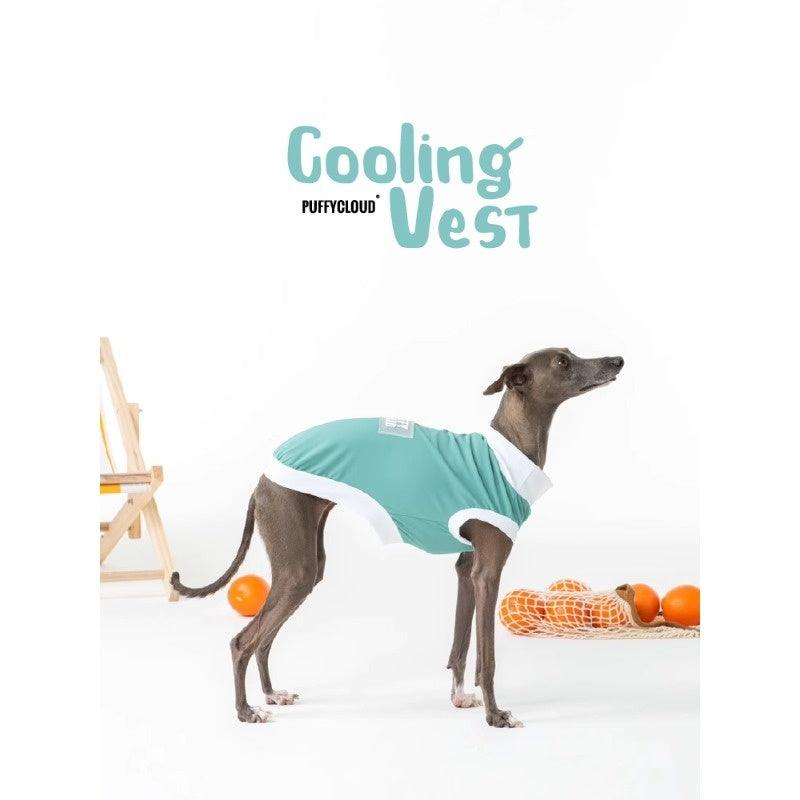 PUFFYCLOUD® Sportswear Casual Suit - KIKOPALS