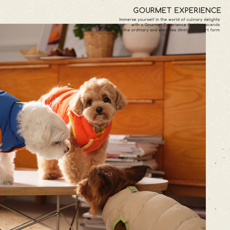 LIKAPAWS® Double-Sided Vest for Dogs