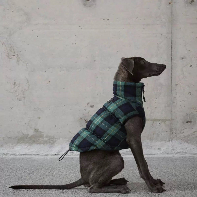 Swingpuppy® Dog Duck Down Hooded Jacket