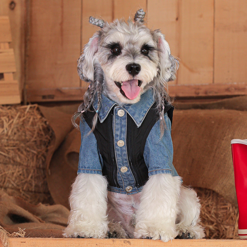 MookiPet® Detachable Denim Set for Dogs