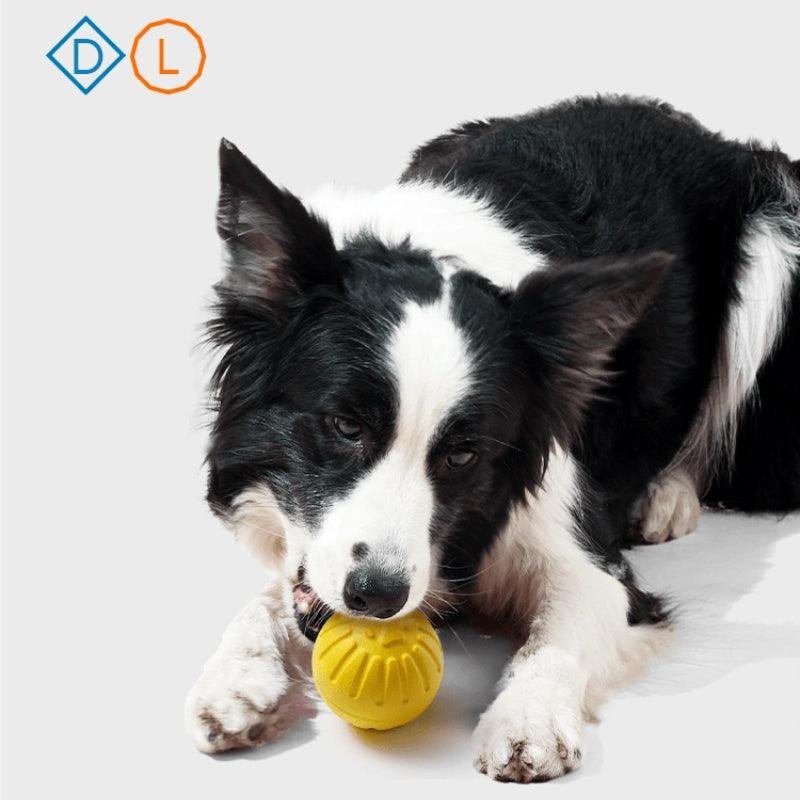 MoovaLab® Durable EVA Dog Ball Toy - KIKOPALS