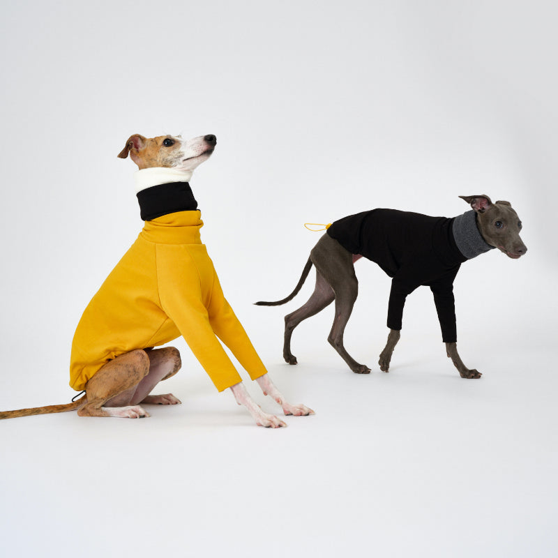 Nuoz® Colorful Gradient Hoodie with Removable Fur Collar for Dogs