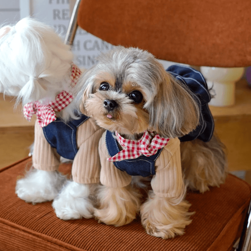 BOWWW® Pet Vintage Denim Overall Dress with Bow Tie Set - KIKOPALS