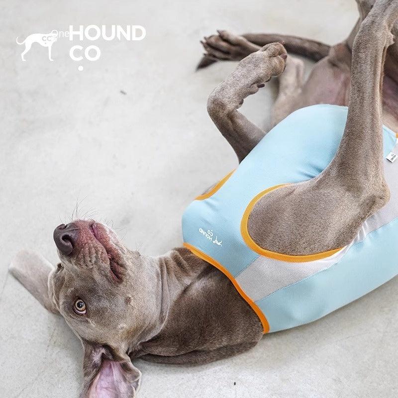 Hound Co.® Lightweight Cooling Vest for Pets - KIKOPALS