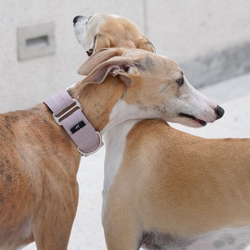 Hound Co.® Anti-Escape Dog Collar - KIKOPALS