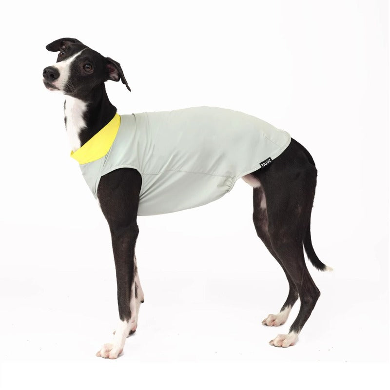 Nuoz® Pet Cooling Base Layer with Color Block Design for Dogs