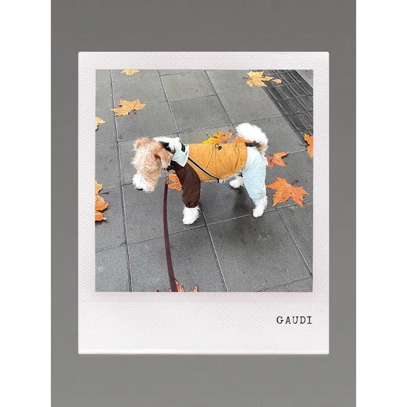 GASU® Soft Italian Leather Dog Leash - KIKOPALS