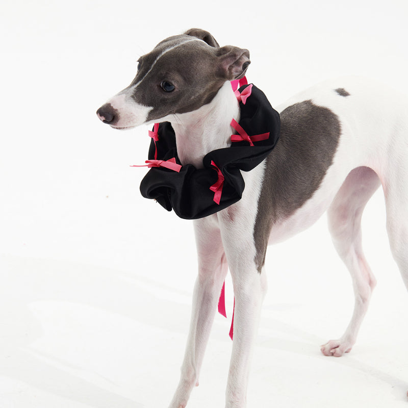 FuzFuz® Adorable Bow Bandana for Dogs & Cats