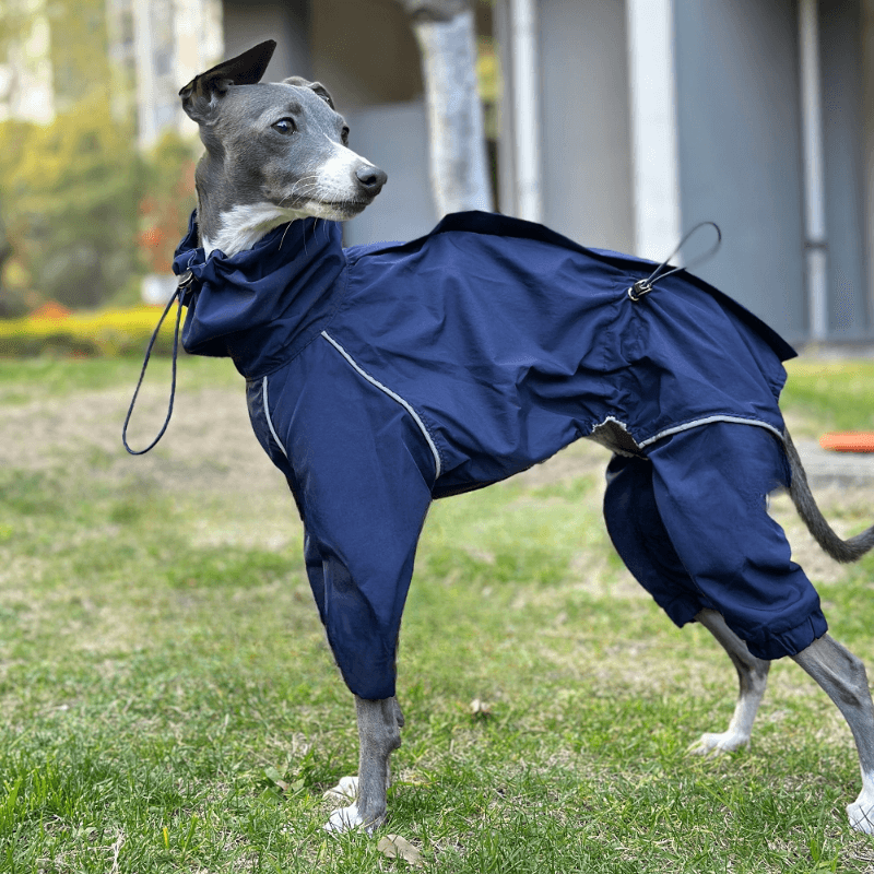 A HUNTING DOG® Dog Waterproof Jacket - KIKOPALS