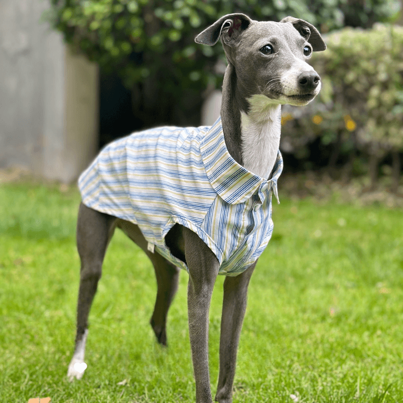 A HUNTING DOG® Sleeveless Dog Shirt - KIKOPALS