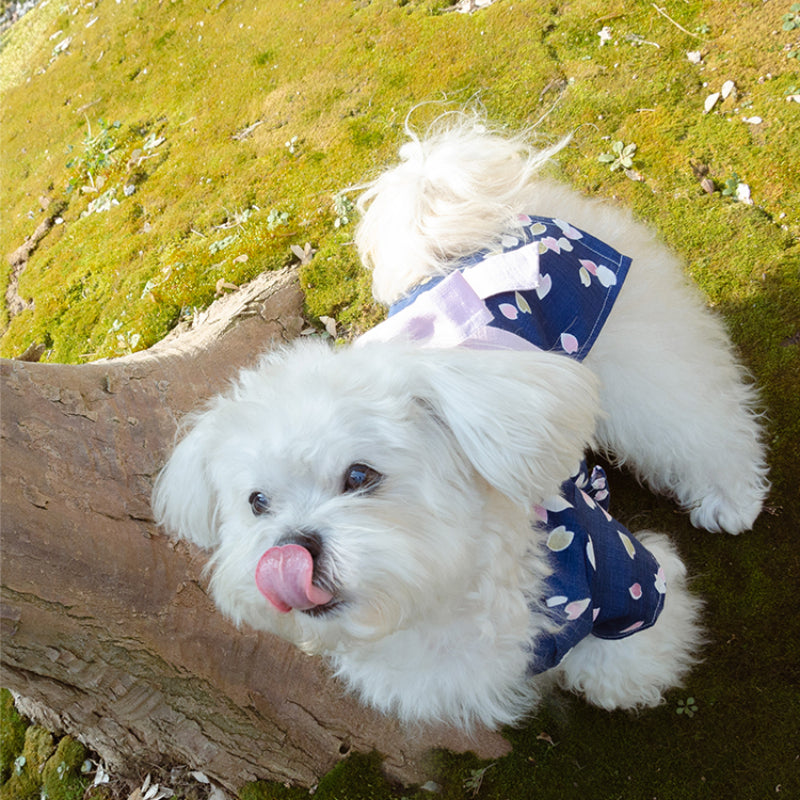 MARSHMALLOW® Japanese Kimono for Dogs