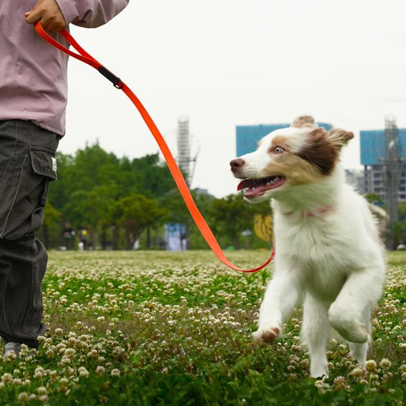 BeauGo® Dog/Cat Leash for Small Pet - KIKOPALS