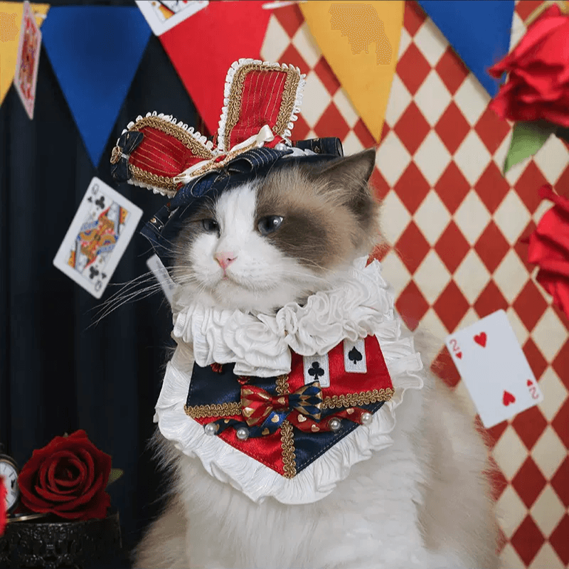 BITEONE® Pet Lolita Bib - KIKOPALS