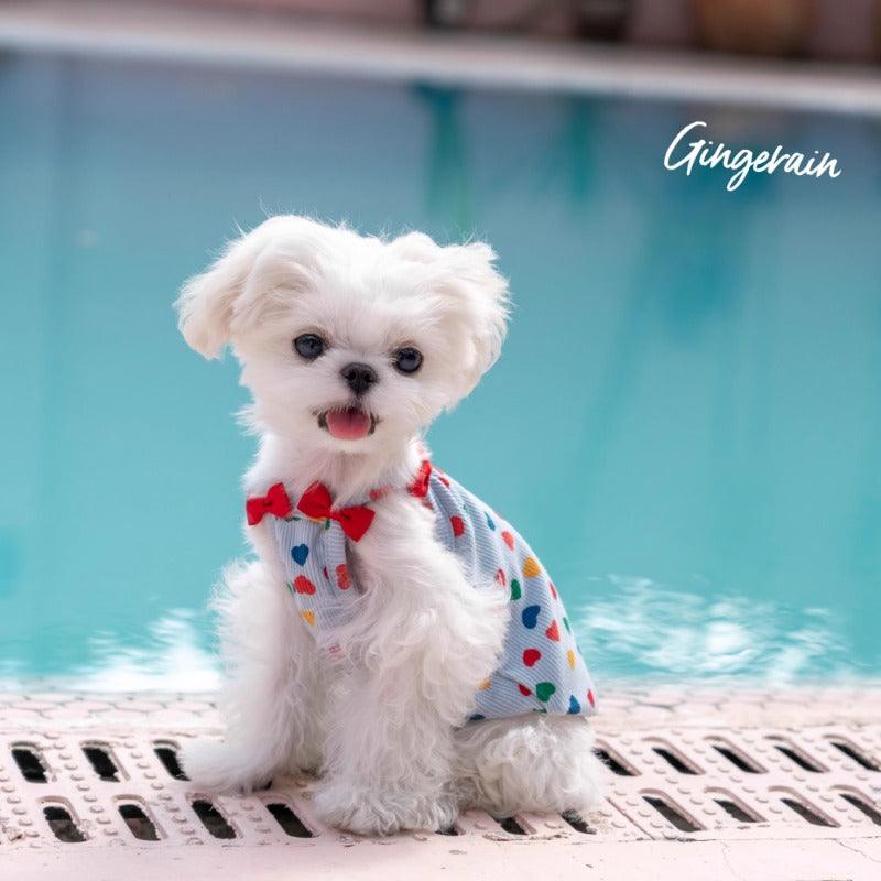 GINGERAIN® Blue Bow Pet Vest - KIKOPALS