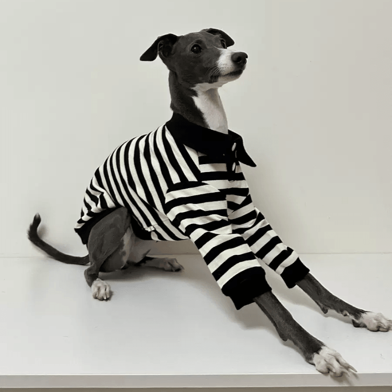 A HUNTING DOG® Black/White Dog Polo Shirt - KIKOPALS