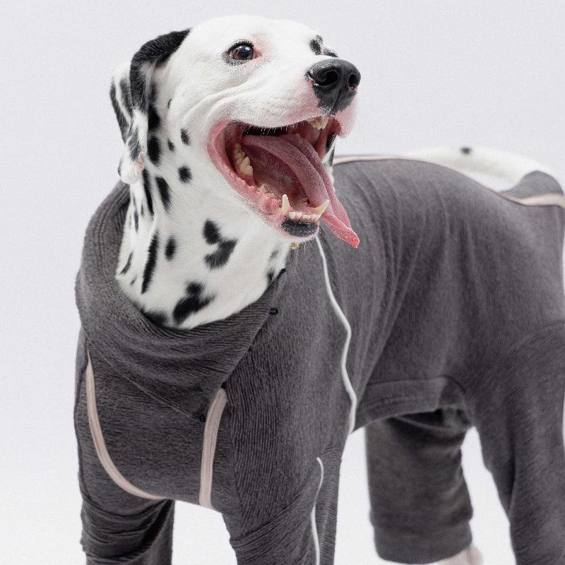 TAORAE® Four-legged Pants Dog Shirt - KIKOPALS