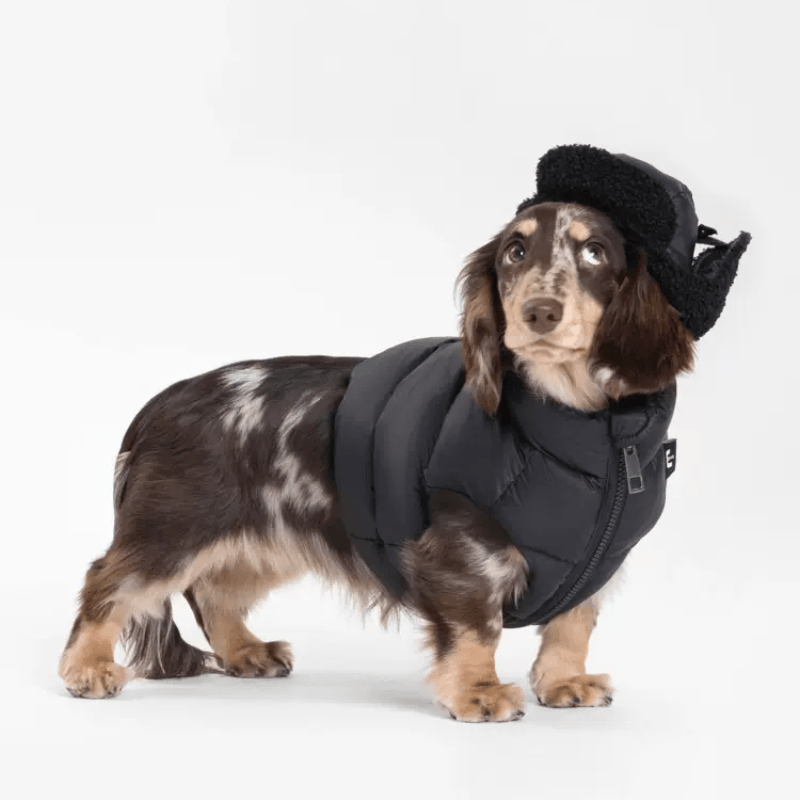 Ula Hound® Ultra-Short Puffer Vest for Dogs - KIKOPALS