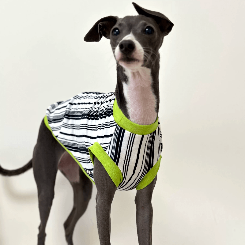 A HUNTING DOG® Dog Striped Vest - KIKOPALS