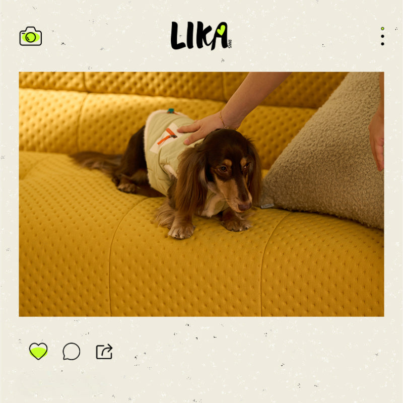 LIKAPAWS® Double-Sided Cotton Coat for Dogs – Green