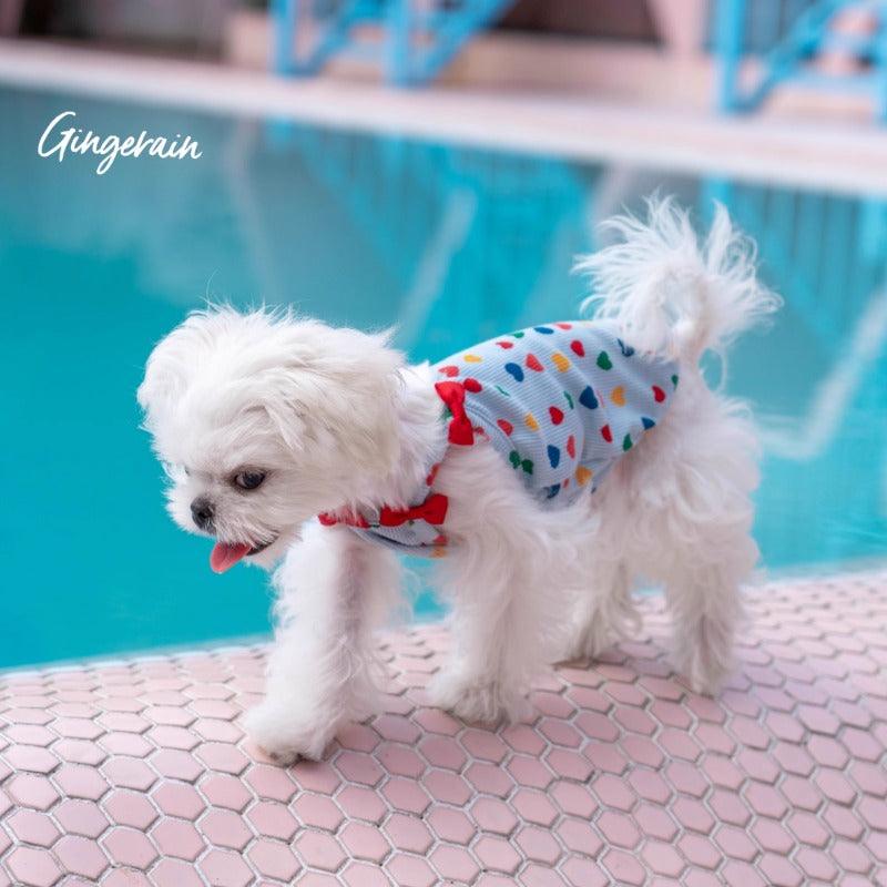 GINGERAIN® Blue Bow Pet Vest - KIKOPALS