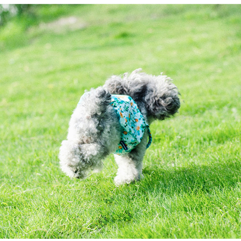 MARSHMALLOW® Summer Bubble Dress for Dogs