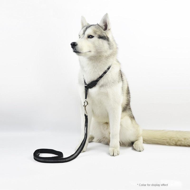 BeauGo® Dog Leash - KIKOPALS