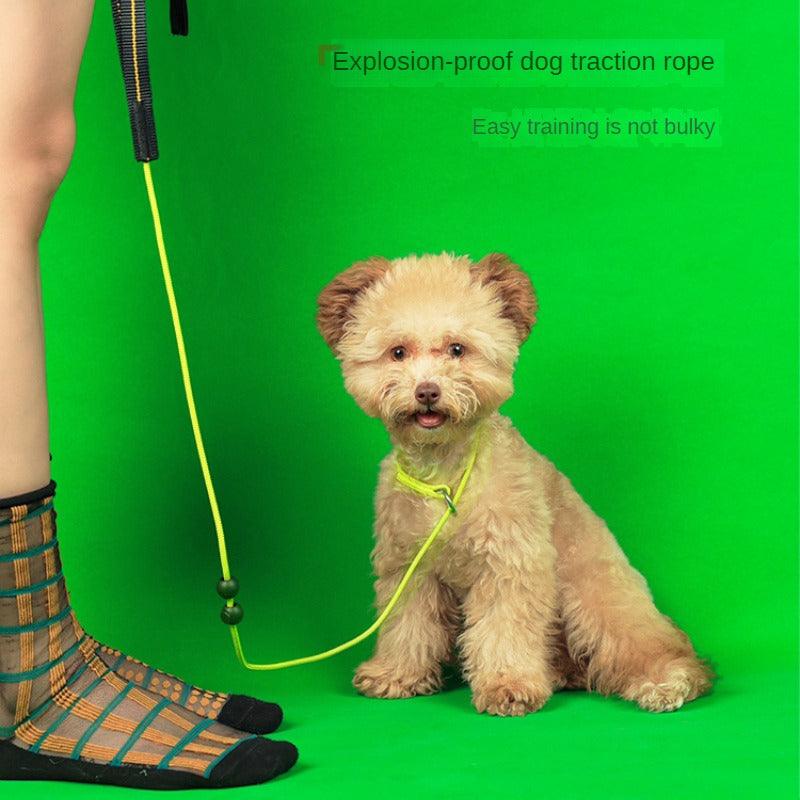 BeauGo® Training Dog Leash - KIKOPALS