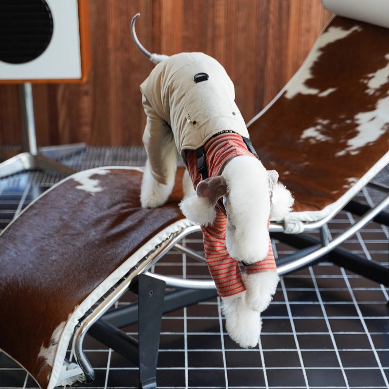 egge® Warm Workwear Overalls for Dogs