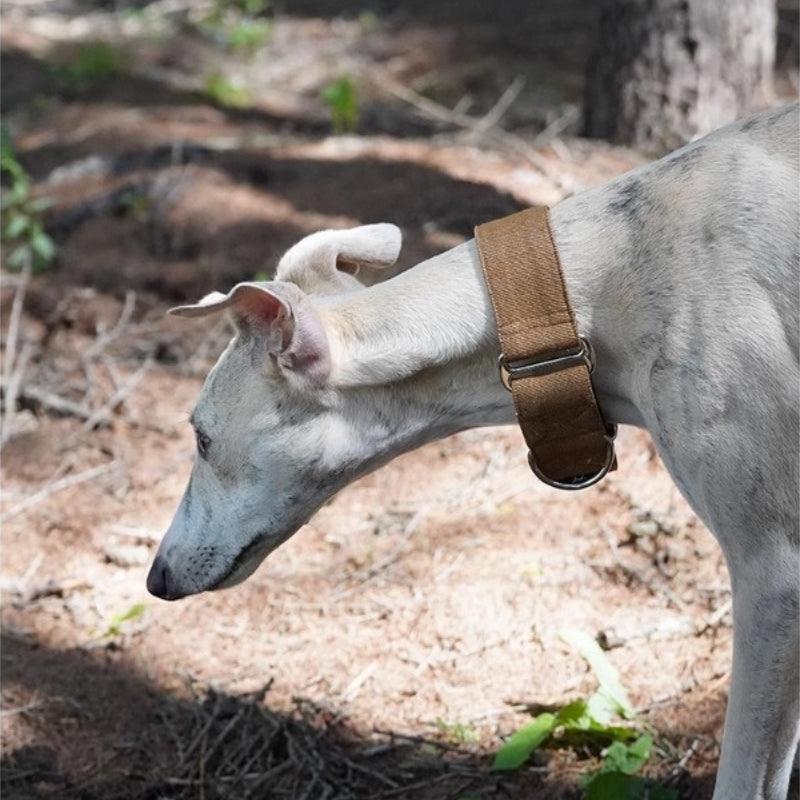 Hound Co.® Pine Brown Pet Collar - KIKOPALS