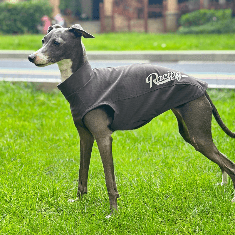 A HUNTING DOG® Dog Cooling Vest - KIKOPALS