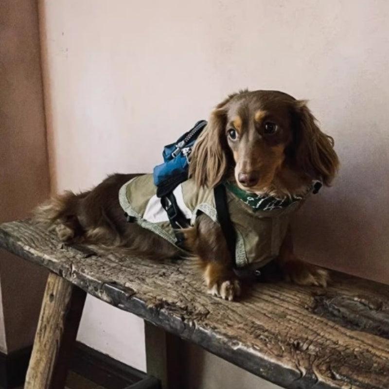 BBPRODUCTION® Cooling Sun Protection Dog Vest - KIKOPALS