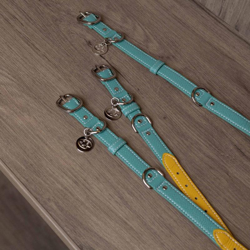 PalettePet® Yellow-Green Genuine Leather Pet Collar & Leash Set - KIKOPALS