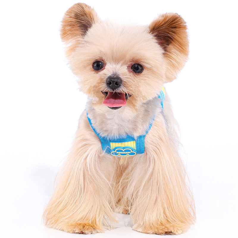 MookiPet® Cloud Striped Sling for Dogs – Blue & Yellow