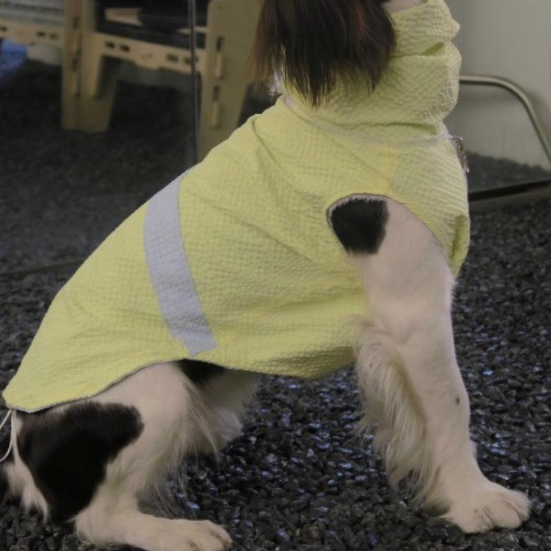 Dogkuma® Reversible Cooling Dog Sun Shirt - KIKOPALS