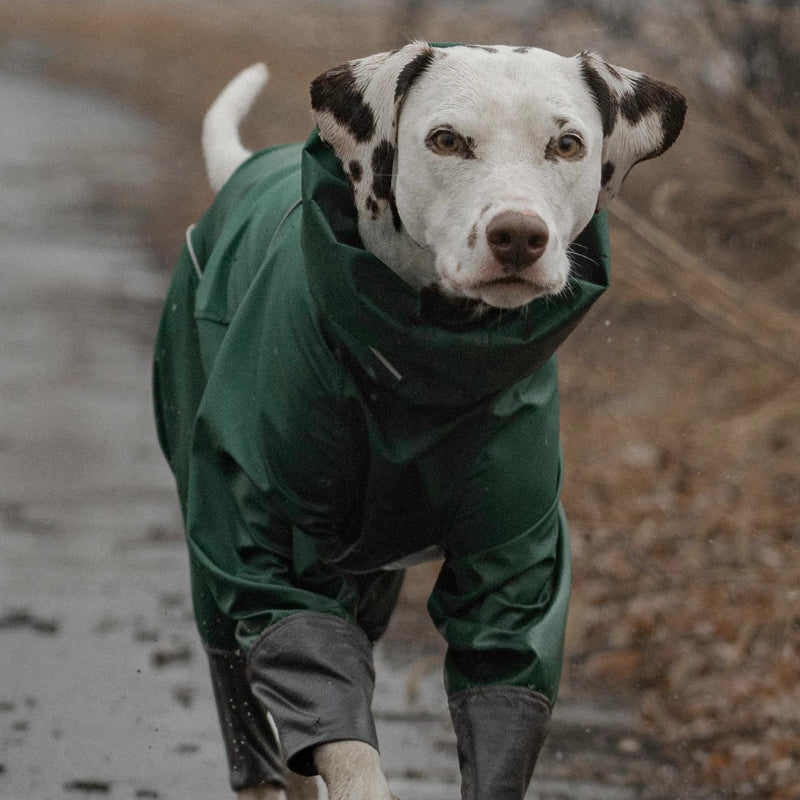 BlackDoggy® Waterproof Dog Raincoat