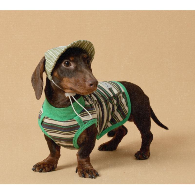 LazyEazy® Striped Dog Vest - KIKOPALS