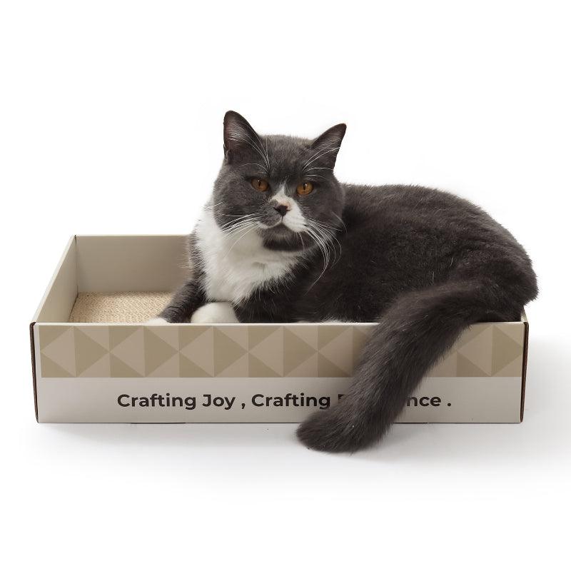 KIKOPALS® Boxed Flat for Cats - KIKOPALS