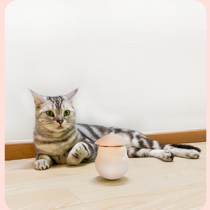 TANU® Laser Pet Toy - KIKOPALS