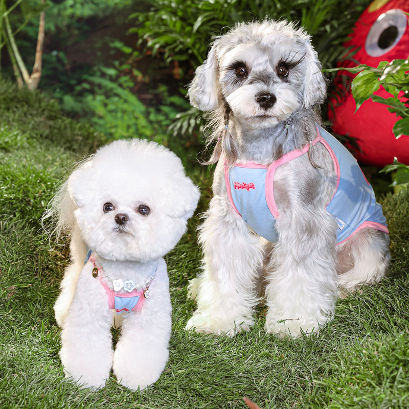 MookiPet® Breathable Blue Vest for Dogs & Cats