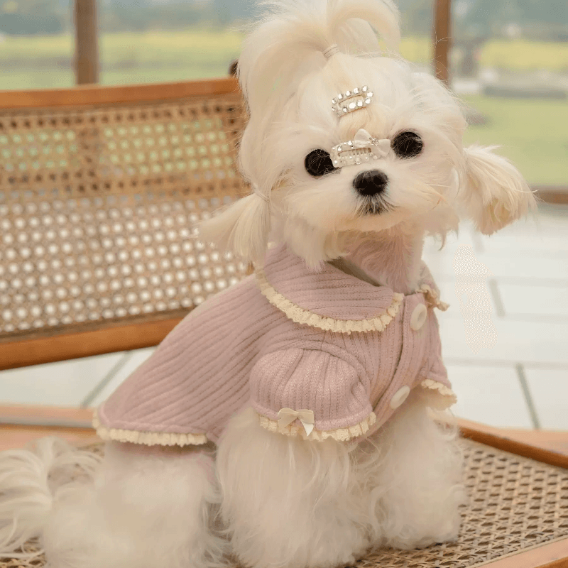 BOWWW® Pet Home Sweater Jacket - KIKOPALS