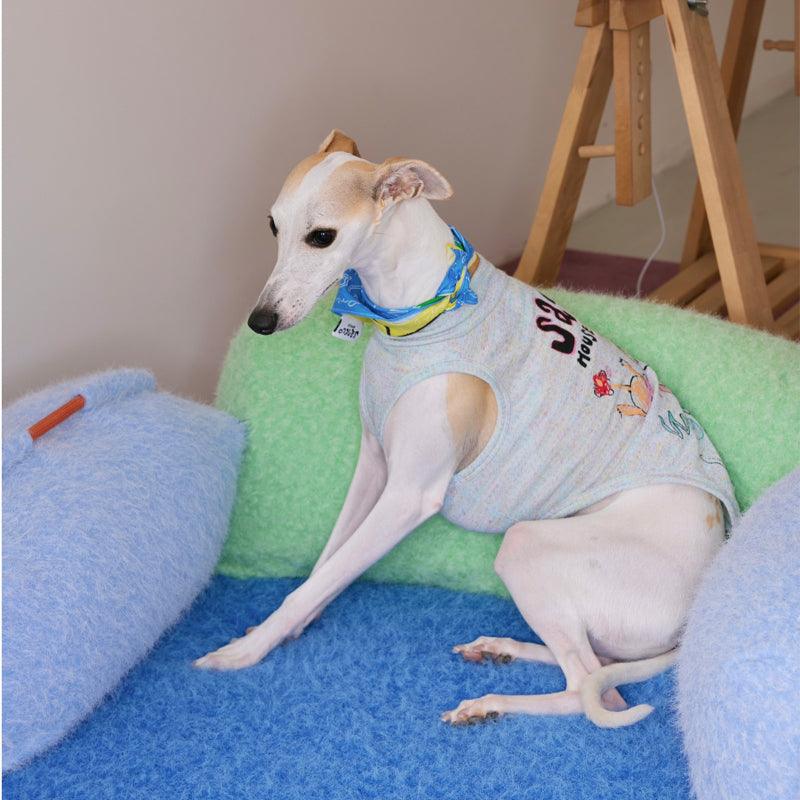 SANCCO® Graffiti Dog & Owner Matching Outfits - KIKOPALS