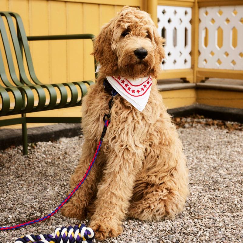 HAY® Colorful Pet Scarf - KIKOPALS