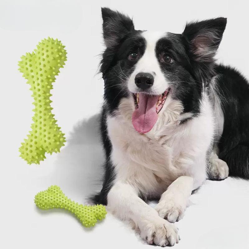 MoovaLab® Durable T-Bone Chew Dog Toy - KIKOPALS