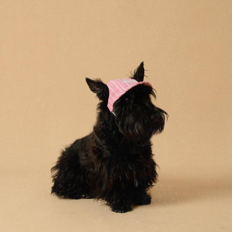 LazyEazy® Striped Pet Hat - KIKOPALS