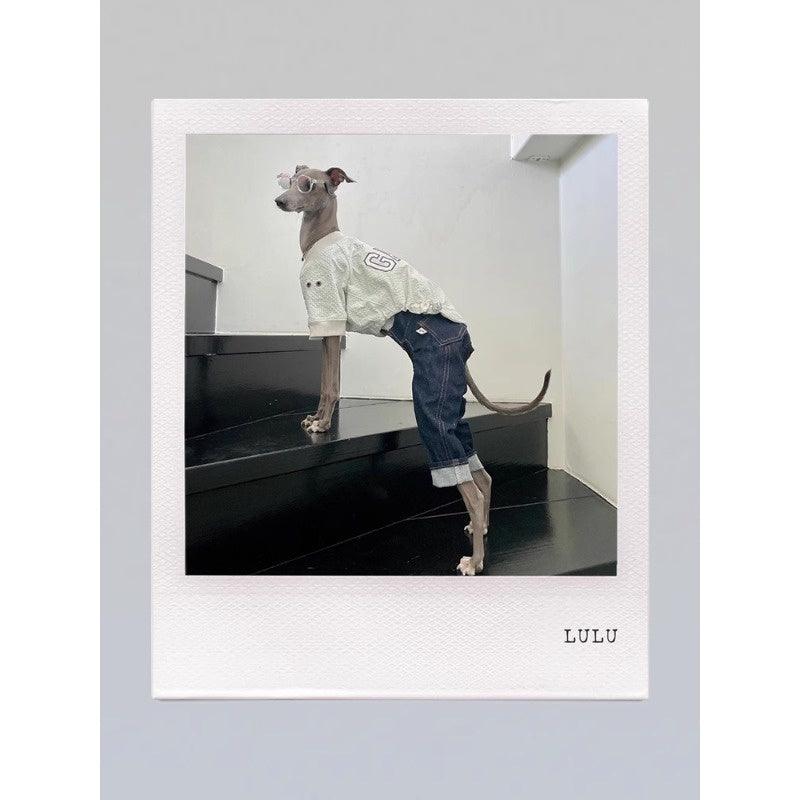 GASU® Embroidered Vintage Lightweight Pet Sweater - KIKOPALS