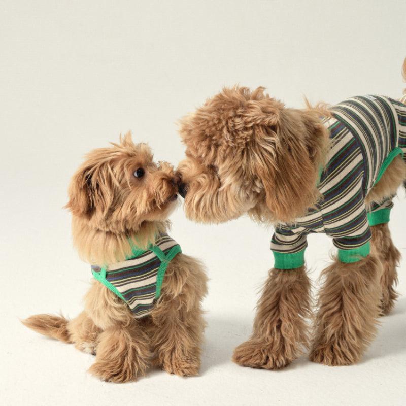 LazyEazy® Striped Dog Vest - KIKOPALS